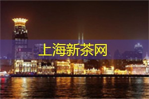 上海的文艺青年与文化反思